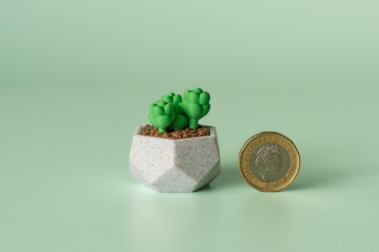 Succulent Fidget Clicker with Wrist Strap or Keychain