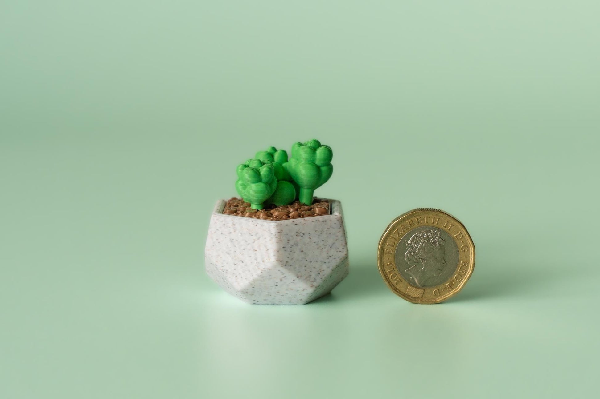 Succulent Fidget Clicker with Wrist Strap or Keychain