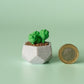 Succulent Fidget Clicker with Wrist Strap or Keychain