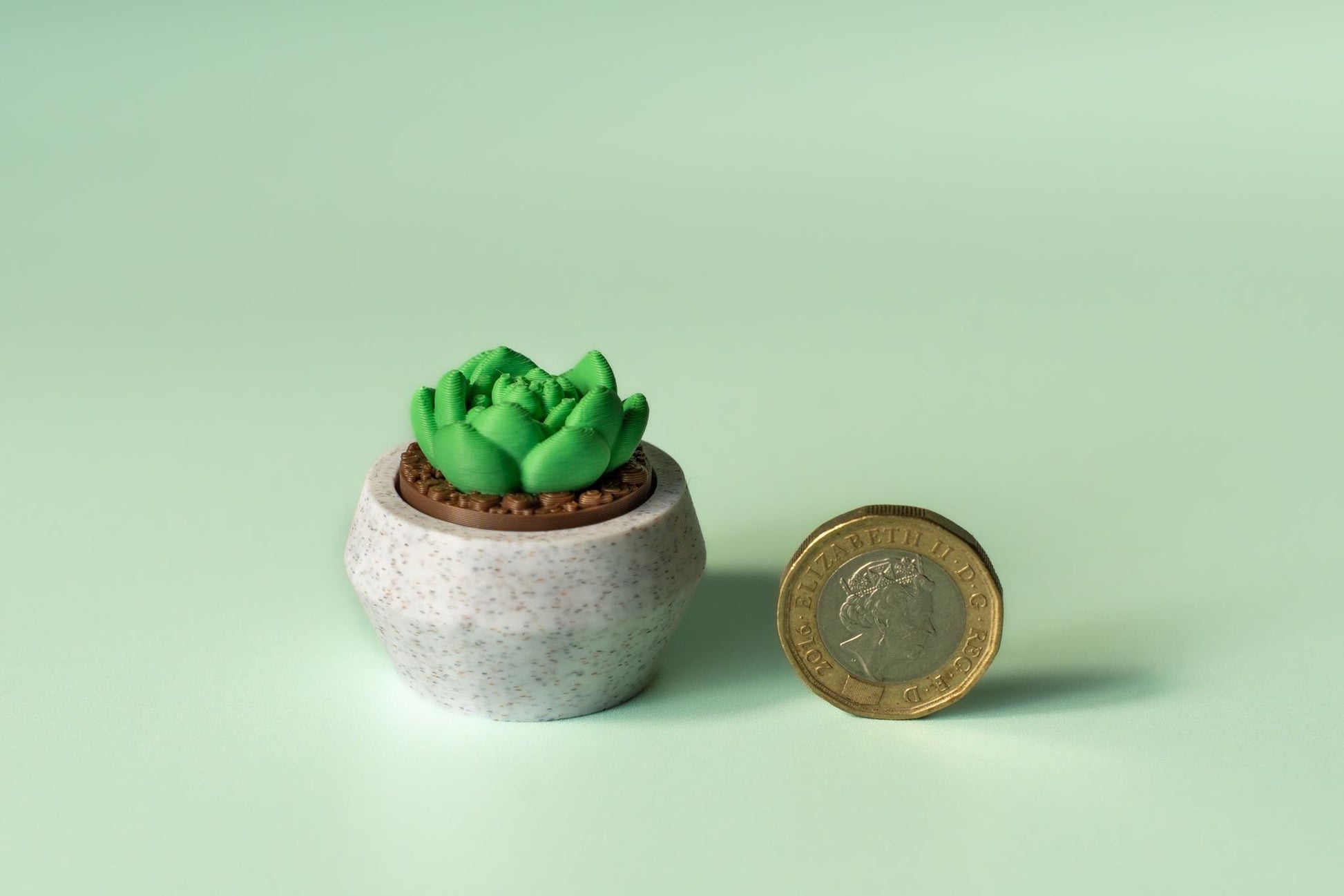 Moonstone Succulent Fidget Clicker with Wrist Strap or Keychain