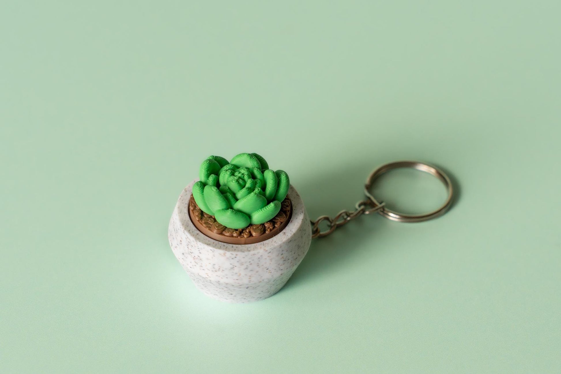 Moonstone Succulent Fidget Clicker with Wrist Strap or Keychain