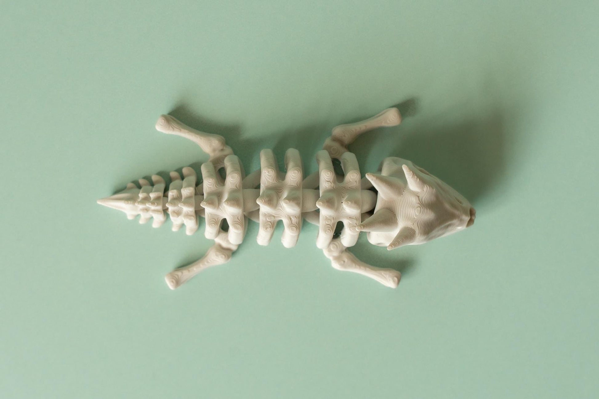 Baby Skeleton Dragon Fidget Flexi