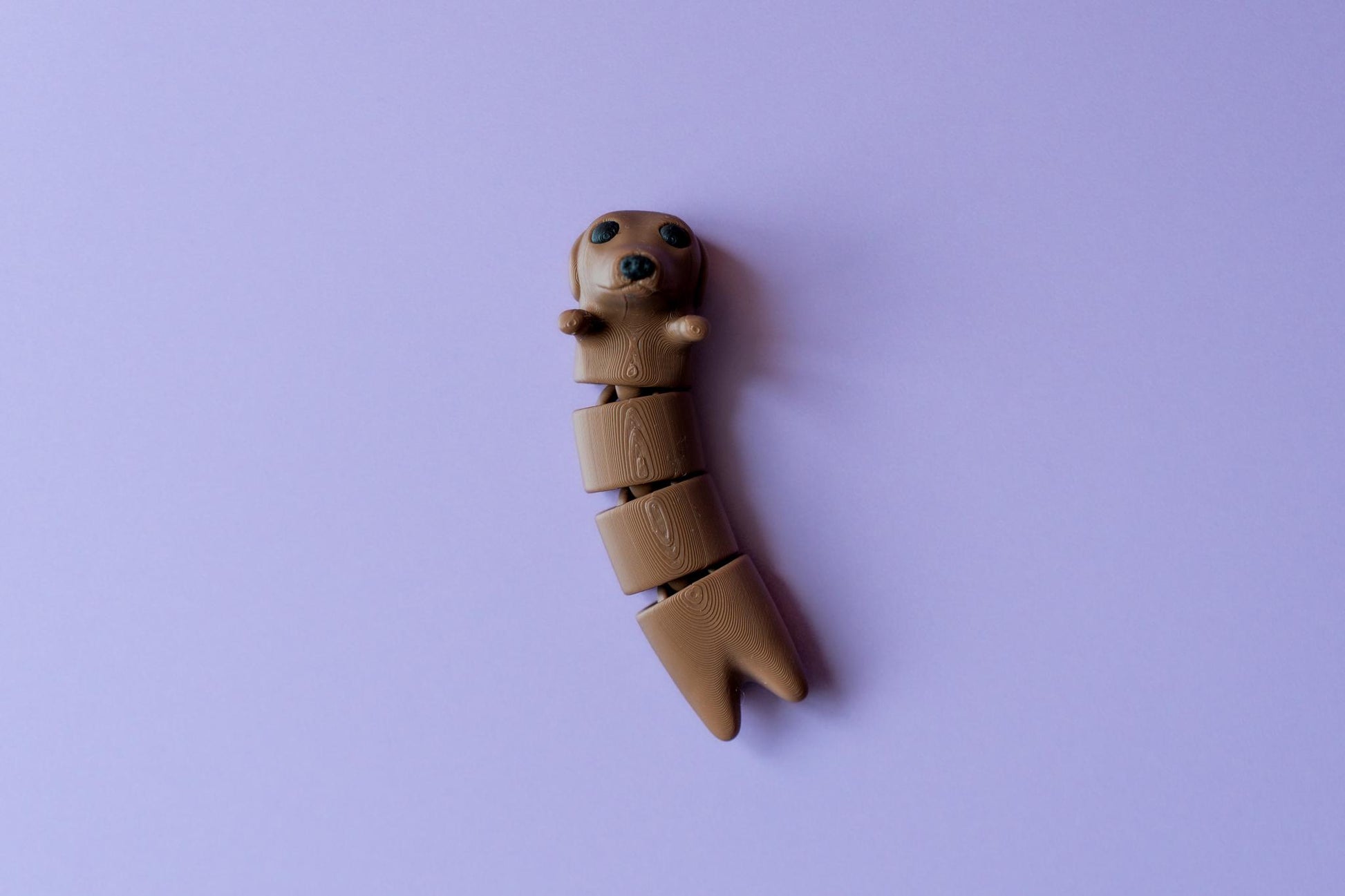 Long Dog Fidget Flexi