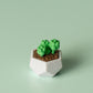 Succulent Fidget Clicker with Wrist Strap or Keychain