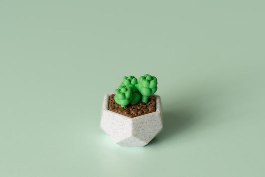 Succulent Fidget Clicker with Wrist Strap or Keychain