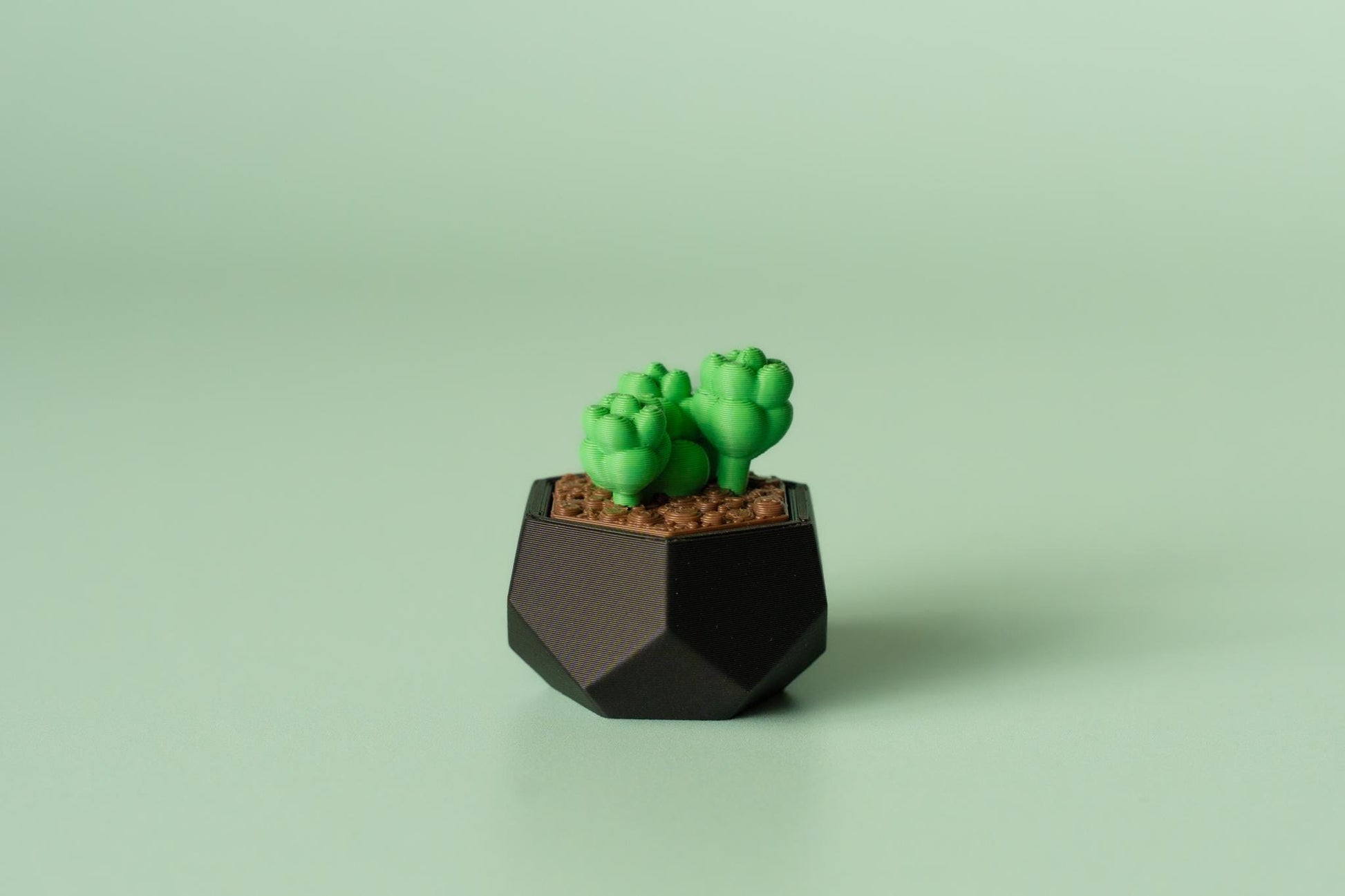 Succulent Fidget Clicker with Wrist Strap or Keychain