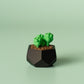 Succulent Fidget Clicker with Wrist Strap or Keychain