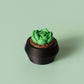 Moonstone Succulent Fidget Clicker with Wrist Strap or Keychain - Happy Tappy Shop