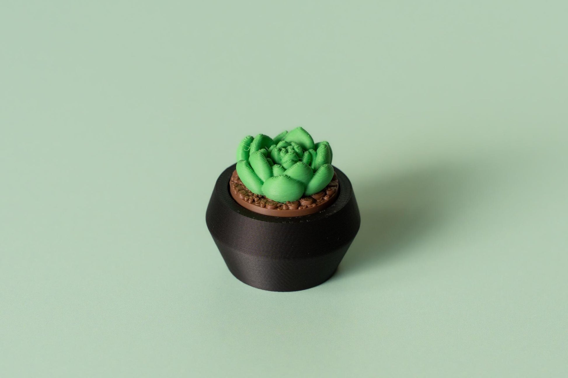 Moonstone Succulent Fidget Clicker with Wrist Strap or Keychain - Happy Tappy Shop