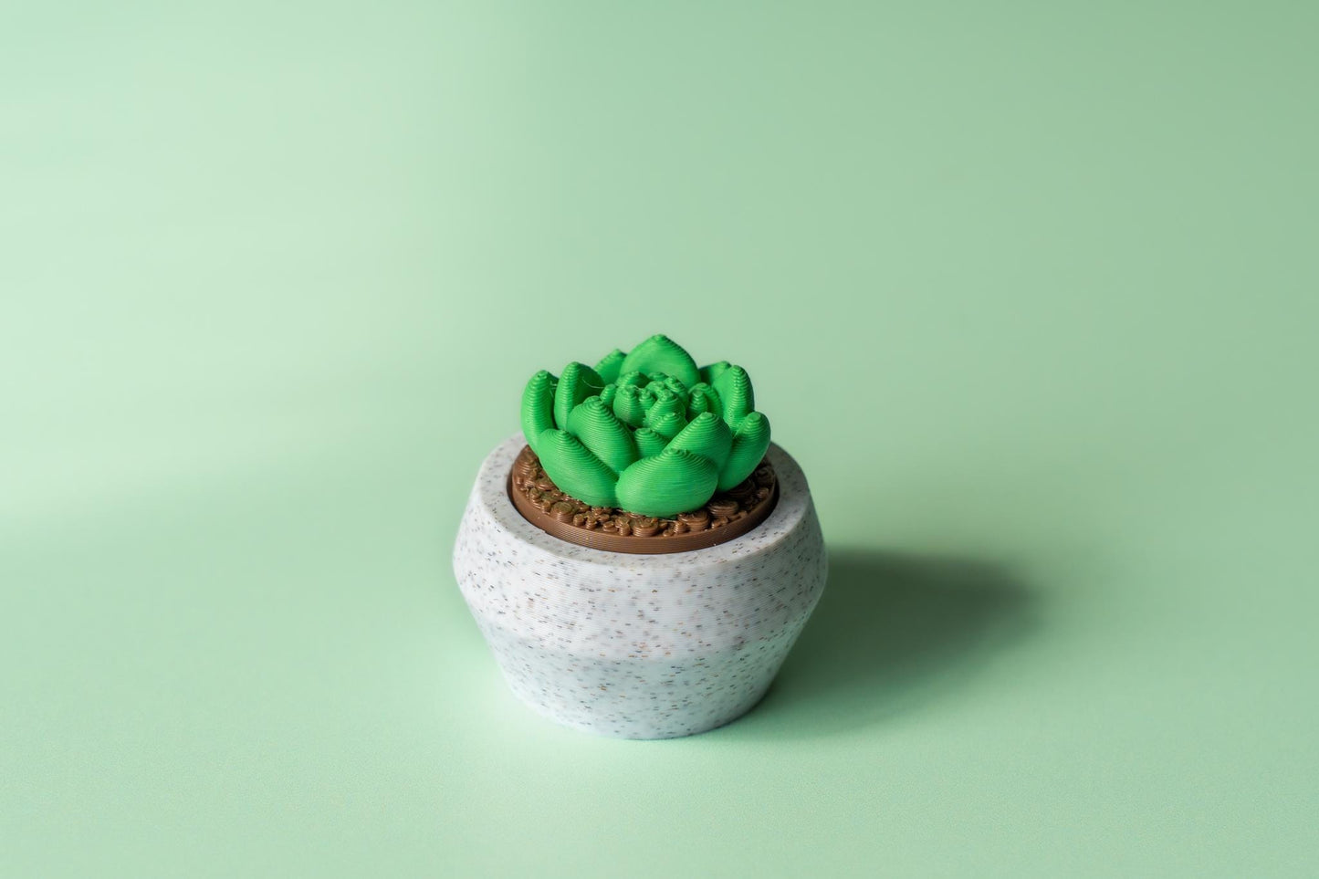 Moonstone Succulent Fidget Clicker with Wrist Strap or Keychain