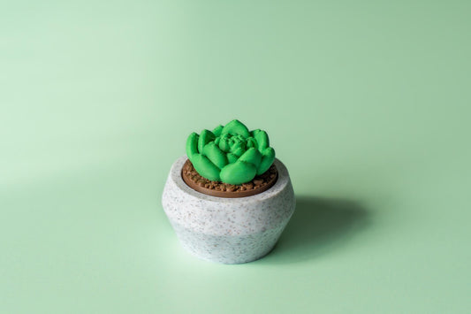 Moonstone Succulent Fidget Clicker with Wrist Strap or Keychain