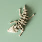 Baby Skeleton Dragon Articulated Flexi Fidget