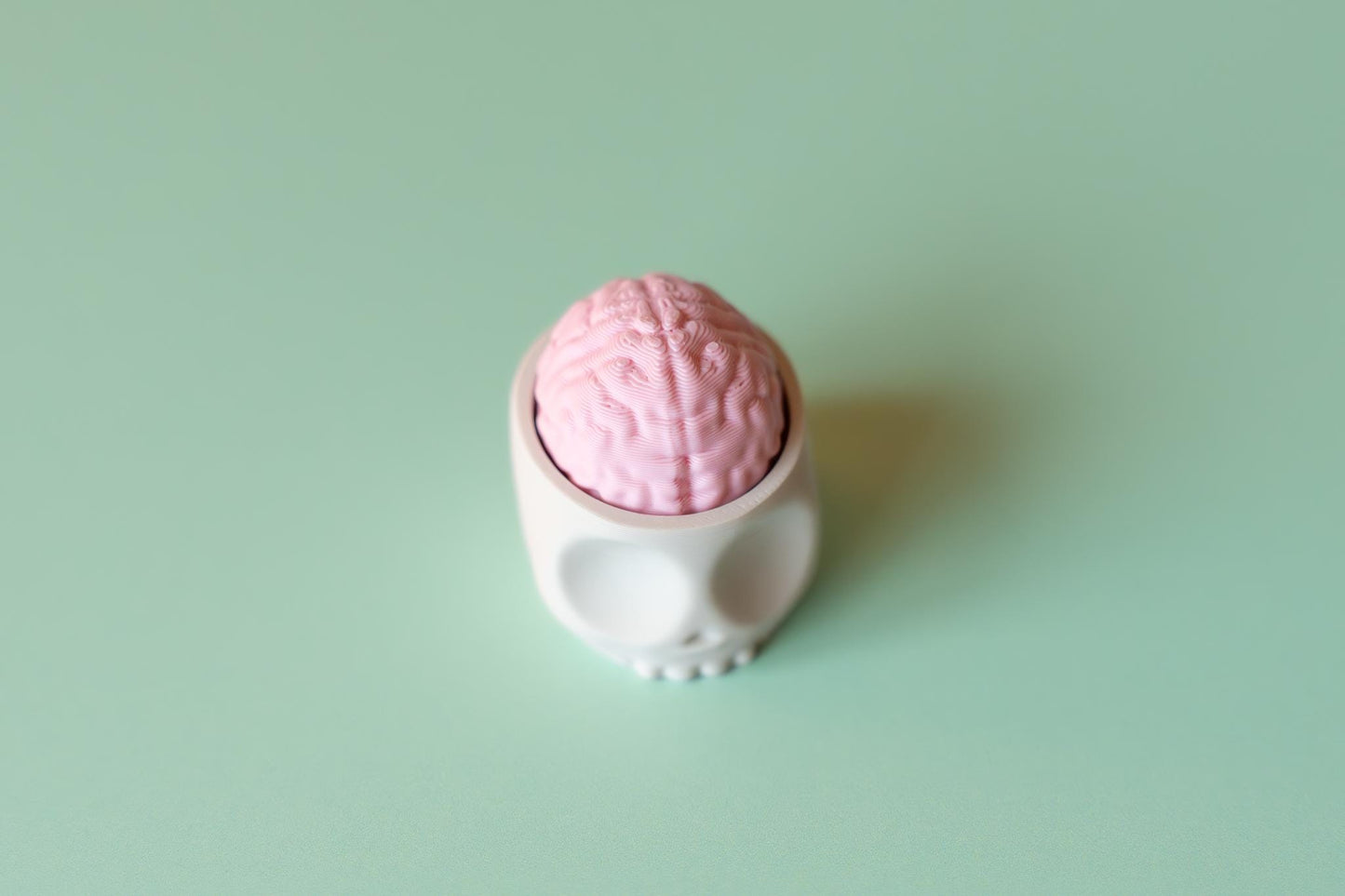 Brain in Skull Spooky Fidget Clicker with Wrist Strap or Keychain