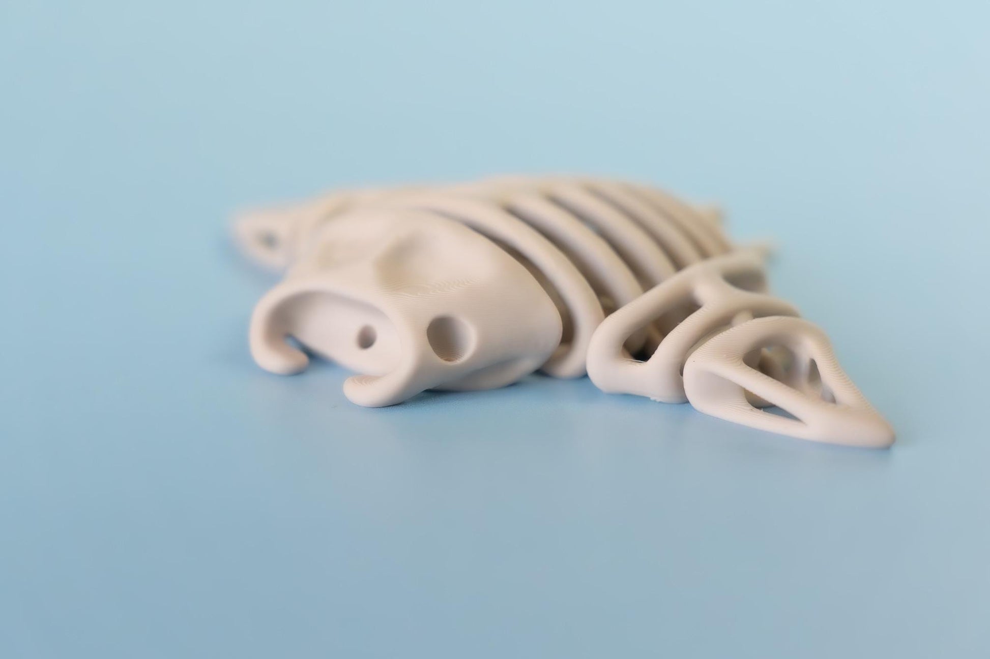 Skeleton Manta Ray Articulated Flexi Fidget