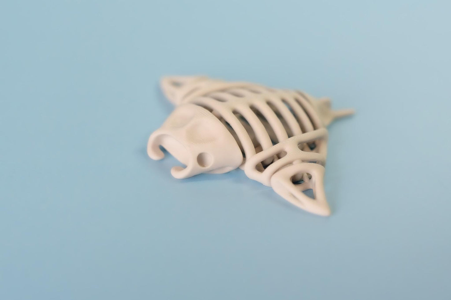 Skeleton Manta Ray Articulated Flexi Fidget