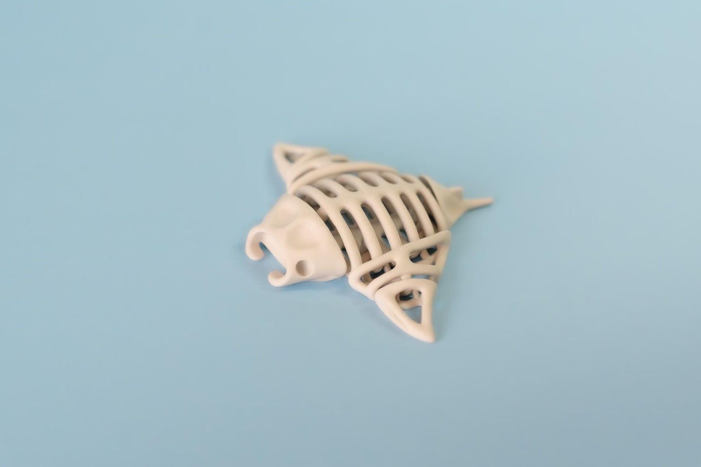Skeleton Manta Ray Articulated Flexi Fidget