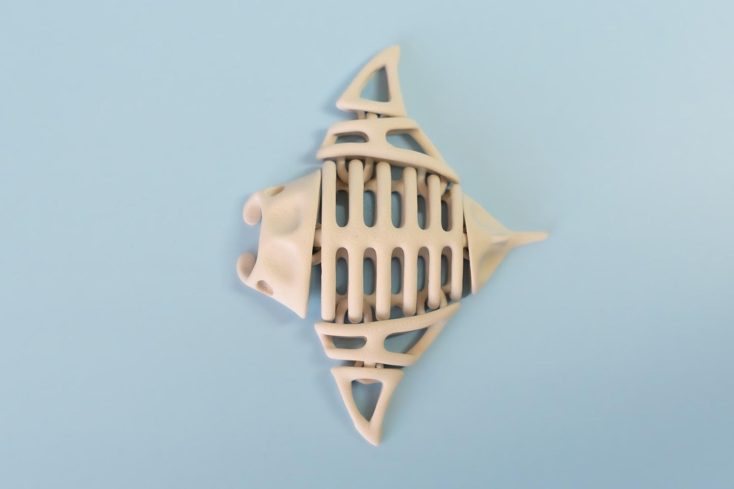 Skeleton Manta Ray Articulated Flexi Fidget