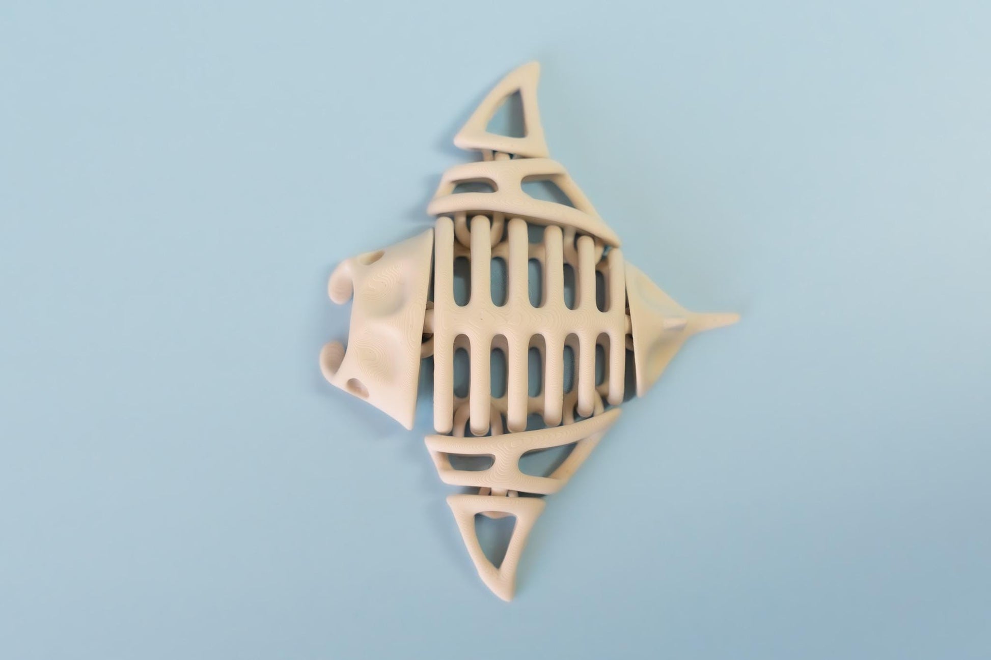 Skeleton Manta Ray Articulated Flexi Fidget