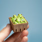 Basket of Frogs Fidget Clicker with Wrist Strap or Keychain