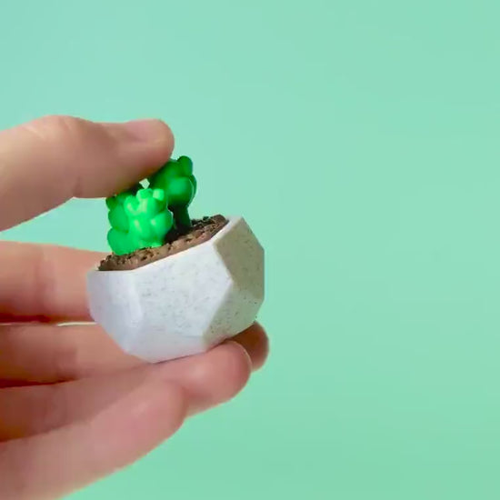 Succulent Fidget Clicker with Wrist Strap or Keychain