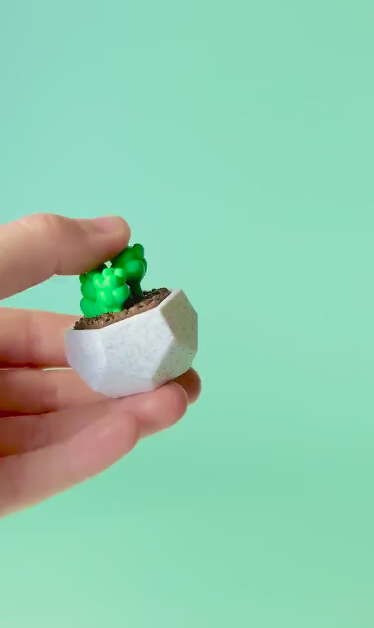 Succulent Fidget Clicker with Wrist Strap or Keychain