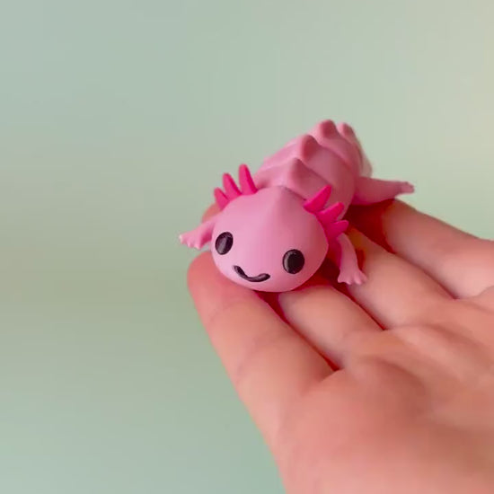 Axolotl Articulated Flexi Fidget