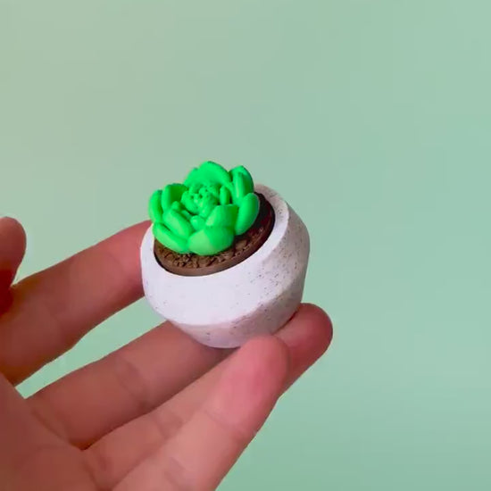 Moonstone Succulent Fidget Clicker with Wrist Strap or Keychain