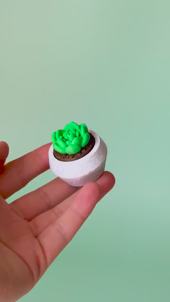 Moonstone Succulent Fidget Clicker with Wrist Strap or Keychain